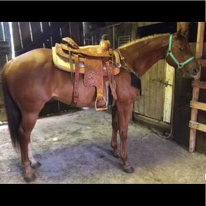 Meet your Posher, Macy